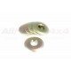 Voor Radius Arm
