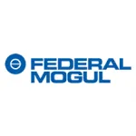 FEDERAL MOGUL
