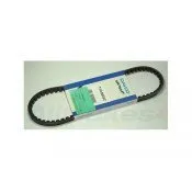 Dynamo riem