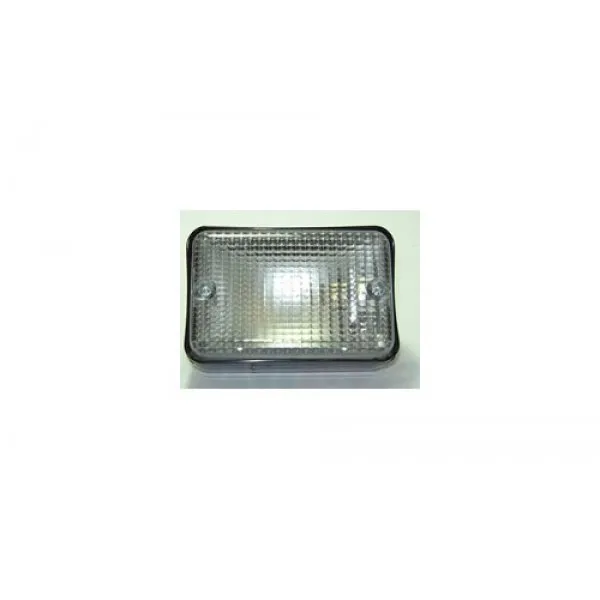 ACHTERUITRIJLAMP