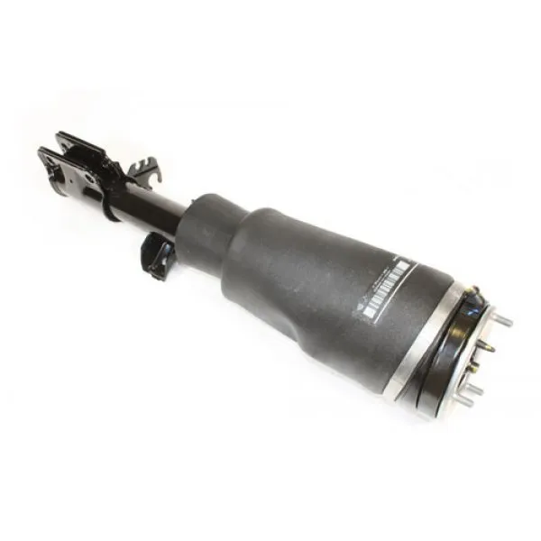SHOCK ABSORBER AND AIR SPRING - RH