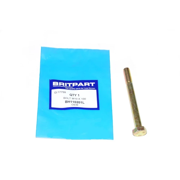 BOLT M10 X 100