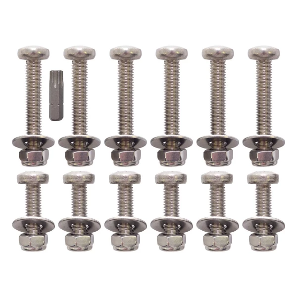 RVS SET ACHTERDEUR VANAF 2007 TORX