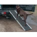 PET RAMP PET RAMP
